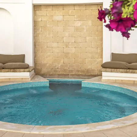 Hotel Mitsis Petit Palais 4*